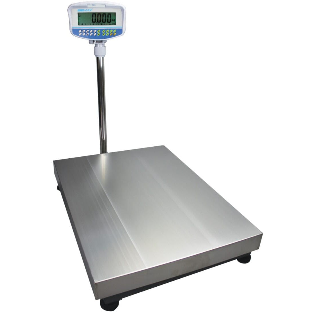 Adam GFK Mplus Approved Floor Scales