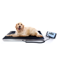 Dierenweegschaal Baxtran AIS-W met hond