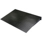OHAUS Ramp 800mm Painted DF-D1